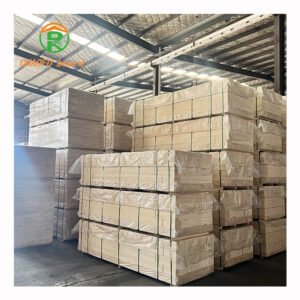 Kunden spezifische hochwertige druck behandelte Sperrholz platte 2x4x8 18mm