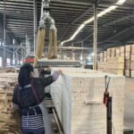 Kunden spezifische hochwertige druck behandelte Sperrholz platte 2x4x8 18mm