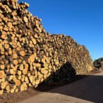 Groothandelsprijs Polen Stokken Vuurhout Gehakte Eiken Hardhout Gedroogd in oven Briketten 10%-30% Vochtgehalte 30-35cm Lengte Verwarmend