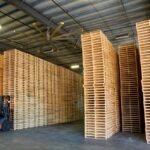 1/2 PALLET GEPERST HOUT – LOOFHOUT + NAALDHOUT – 480 KG