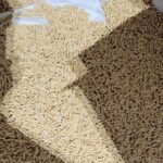 Hochwertige 6mm Holzpellets