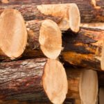 Premium-Zypressenholz für Terrassen