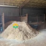Kiefernholzpellets