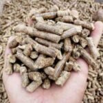 Weltweiter Versand Großhandel Premium Umwelt