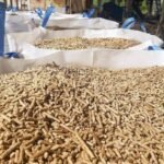 Euro-Pellets Zertifizierte Holzpellets nach Europäischem