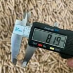 Kaufen Sie Holzpellets zum besten Preis – LKW-Ladung 24